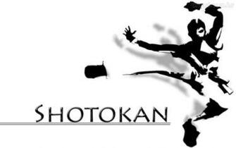 Papel De Parede Shotokan