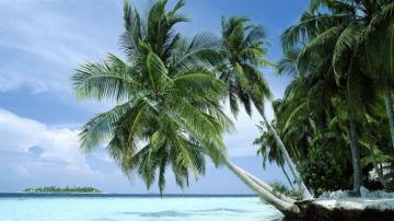 South Pacific Island Wallpaper Pre 10wallpaper