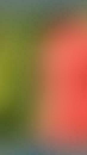 Blur Background In Your iPhone Photos The Ultimate Guide