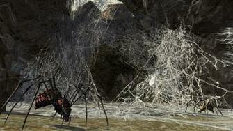The Lord Of Rings Online Siege Mirkwood Desktop Wallpaper