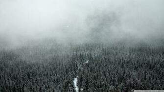 Mist 4k HD Desktop Wallpaper For Ultra Tv Wide
