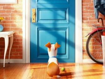 Wallpaper The Secret Life Of Pets Photos And Walls