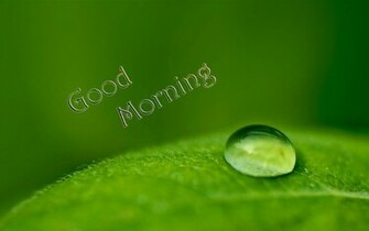 Good Morning