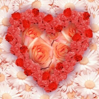 Flowers For Flower Lovers Love Wallpaper