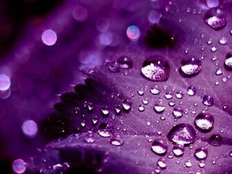 Keywords 3d Purple Wallpaper Desktopwallpaper