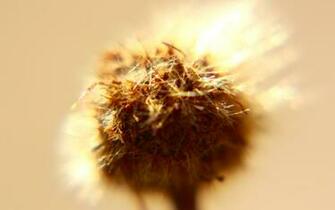 Best Desktop Wallpaper Lifehacker In HD