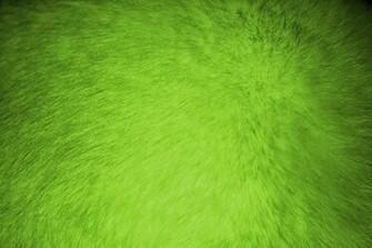 Lime Green Wallpaper