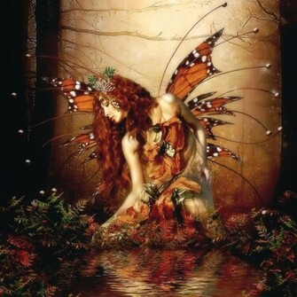 Faerie Butterfly iPad Air Wallpaper
