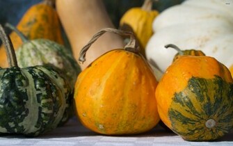 Pumpkins Wallpaper Photography
