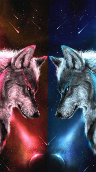 Fire And Ice Wolf Packs Wallpaper