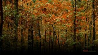 Wallpaper Outdoors Hunting Background Background Desktop