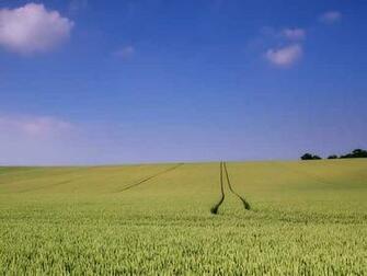 English Countryside Wallpaper