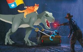 Windows Insider Ninjacat User Wallpaper Pack