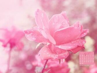 April Desktop Calendar Wallpaper For Personal Use By Kate Net