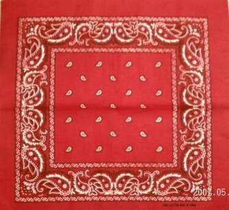 Black Paisley Bandana