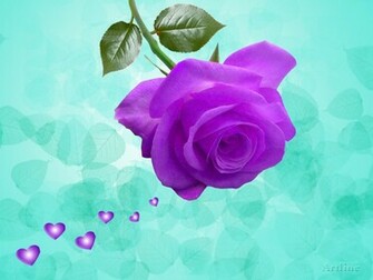 Lovely Purple Violet Rose With Green Leaf HD Wallpaper