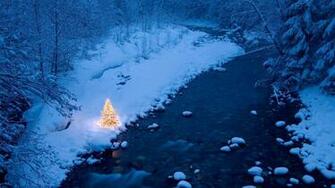 Christmas Tree Snow Wallpaper HD Winter