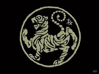 Shotokan Karate Do iPad Wallpaper Background All