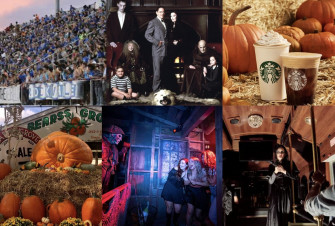 What To Do During Fall In Tampa Bay Achona