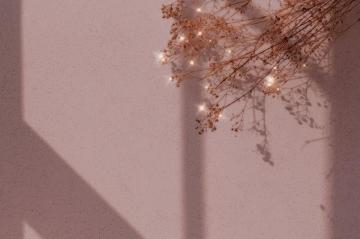 Sparkle Dried Flower Background Image By Rawpixel