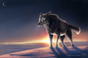 Wolf In Space Wallpaper Wide HD