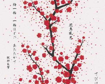 A S Cr Ation Wallpaper Floral Black Gold Red White