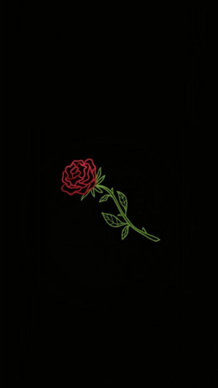 Roses Aesthetic Wallpaper