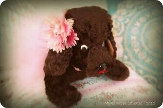 Vintage Toy Poodle Girl At Heart
