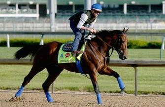 Kentucky Derby Odds Image HD