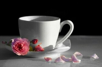 Good Morning My Love Wallpaper HD