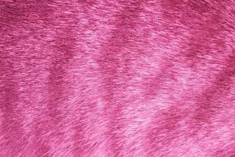 Pink Tabby Fur Texture High Resolution Photo Dimensions