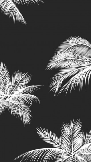 Aesthetic White And Black iPhone Wallpaper