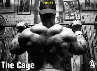 Full List Universal Nutrition