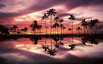 Sunset Over The Ala Moana Beach Park Honolulu Oahu Hawaii