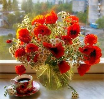 Flowers Nature Background Wallpaper On Desktop Nexus Image