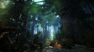 Black Desert Online Fantasy Mmo Action Fighting Rpg
