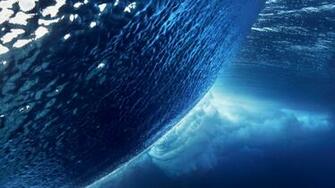 We Have A Large Database Of Wallpaper And Background For Your