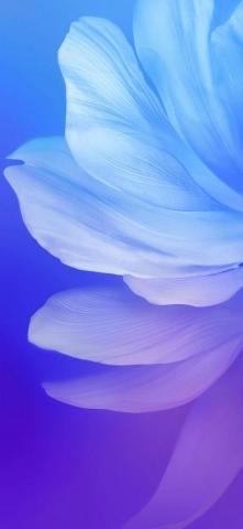 Vivo V17 Stock Wallpaper Full HD Droids
