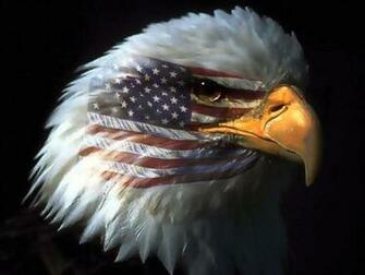 Patriotic Eagle Image Graphic Code