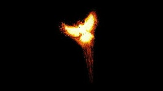 Phoenix Bird