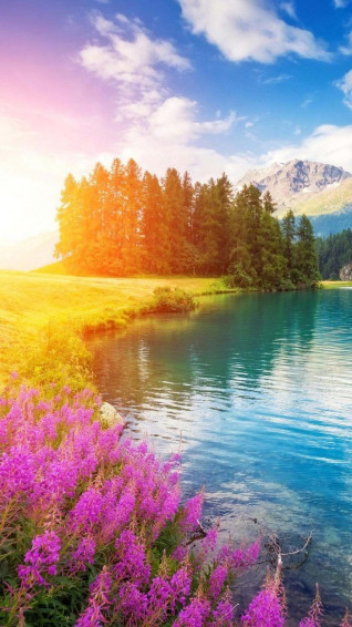 Pink Flowers River Mountain Landscape Trees Phone Wallpaper Spring