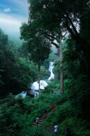 Nature Of India Pictures Image