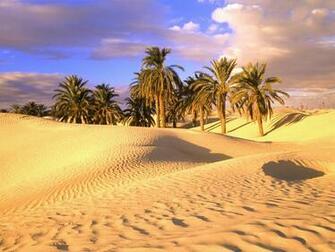 Sahara Desert HD Wallpaper