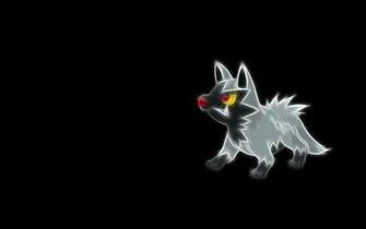 Poochyena Pok Mon HD Wallpaper Background Image