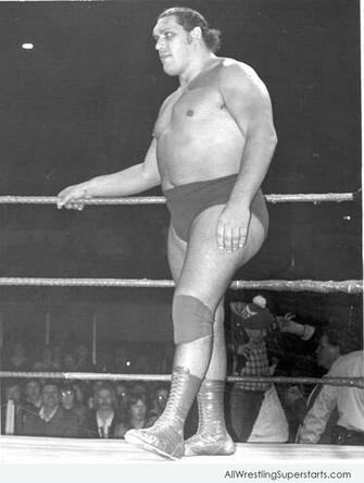 Andre The Giant Wwe Superstars Wallpaper Ppv S