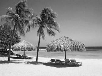 Black And White Wallpaper Beach Landscape HD