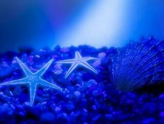 Wallpaper HD Desktop Online Star