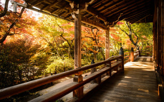 Kyoto Wallpaper
