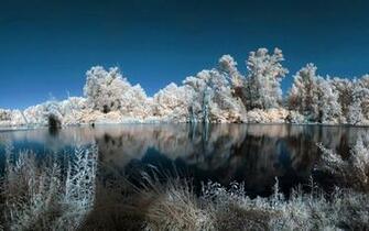 Water Landscapes Nature Winter Trees White Lakes Wallpaper