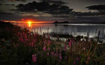 Beautiful Dark Spring Sunset Wallpaper